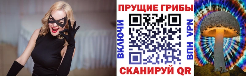 Галлюциногенные грибы мицелий  Луза 